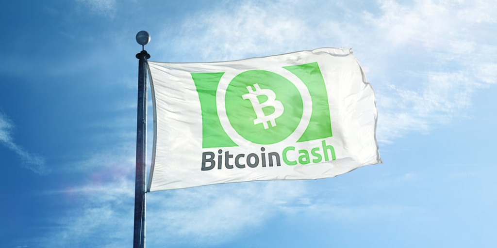 Bitcoin Cash (BCH) Surges 33.9% in 24 Hours on EDX Listing, S. Korean Surge