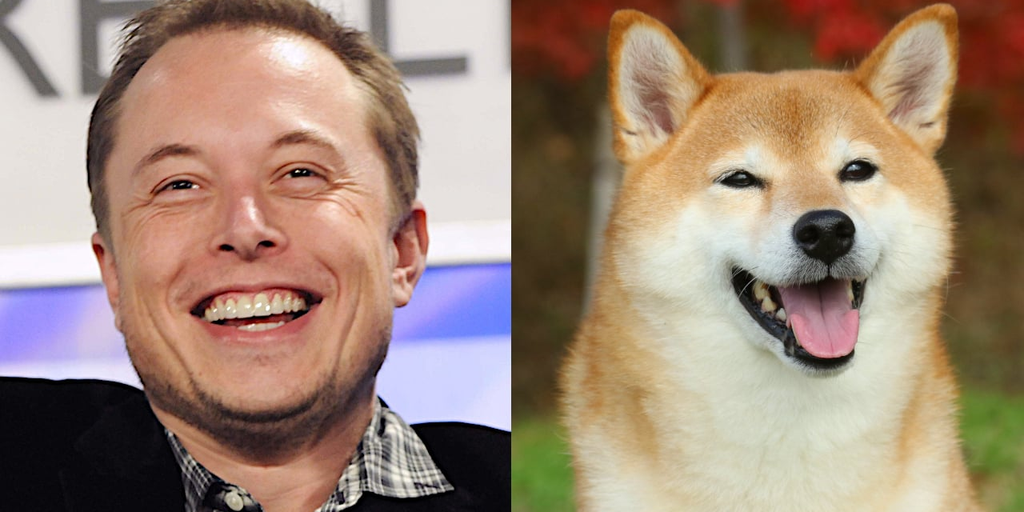 dogecoin-down-8-as-musk-s-twitter-hype-fades-decrypt