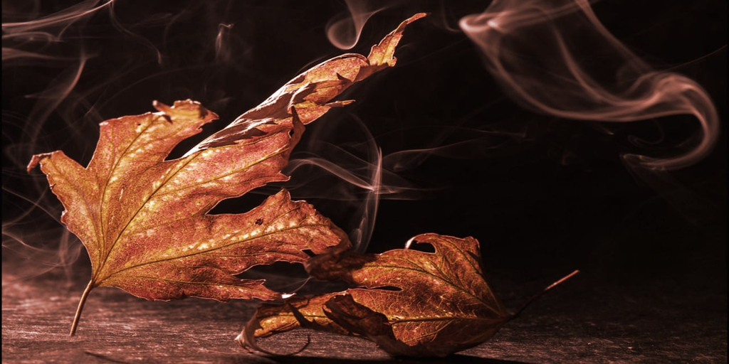 DeFi Lender Maple Finance Cuts Off Orthogonal Trading For 
