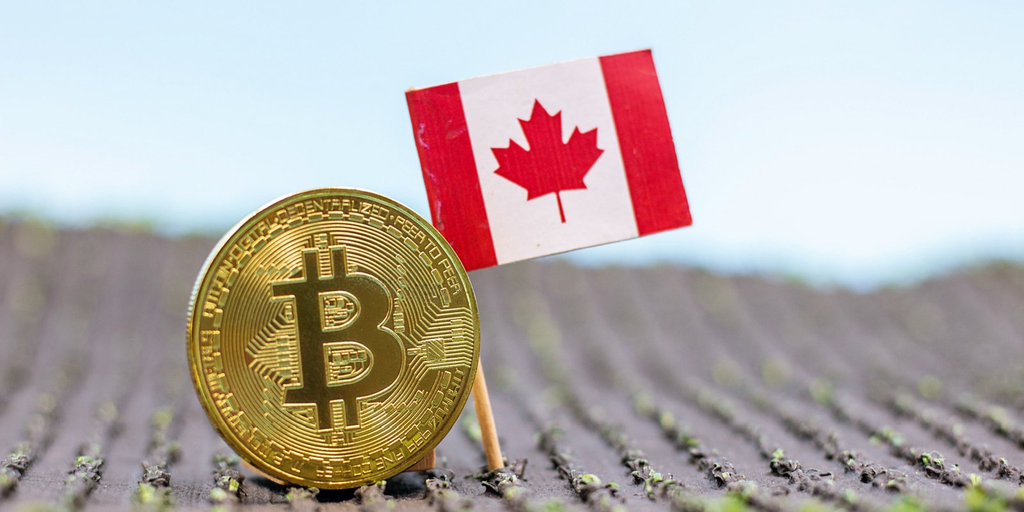 Canadian Lawmakers Want to Help Blockchain Businesses 'Flourish'