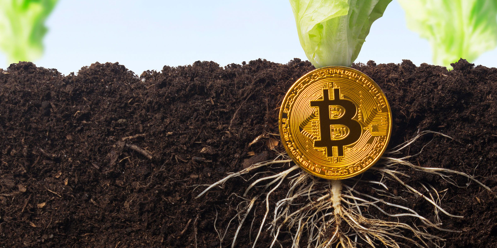 KPMG Bitcoin Report Marks ‘A Milestone The Bitcoin Ecosystem Should Celebrate’: Analyst