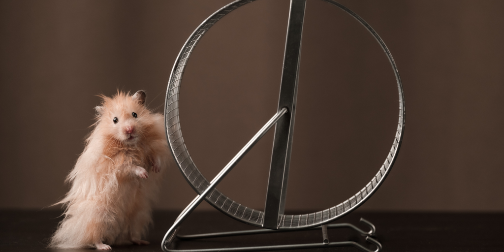 ‘Hamster Kombat’ Keeps Demanding More Friends—Enough Already