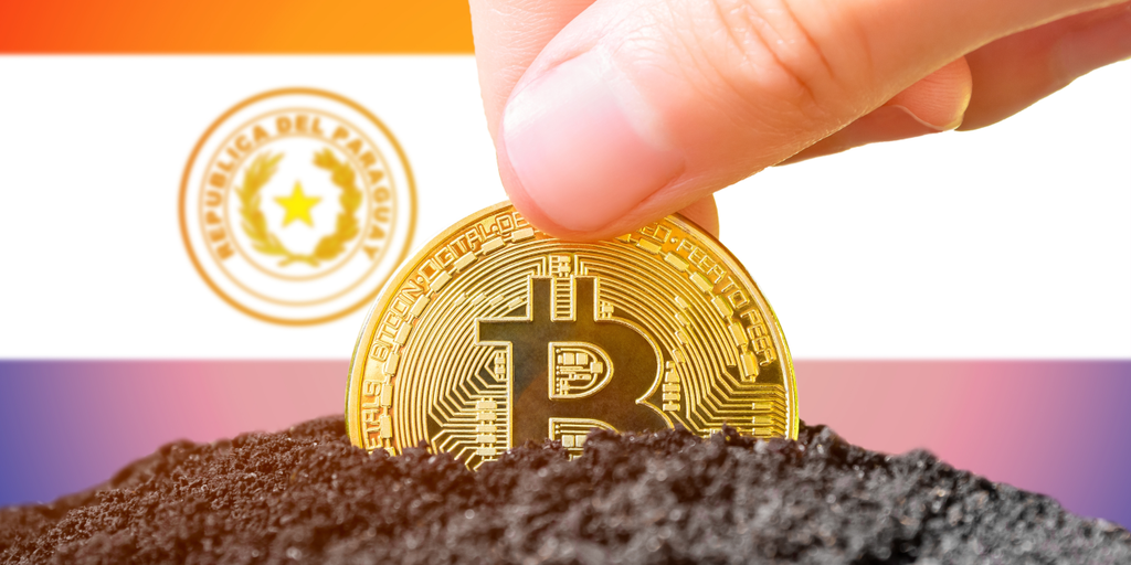 Bitcoin Miner Hive Digital Reveals  Million Paraguay Expansion Push