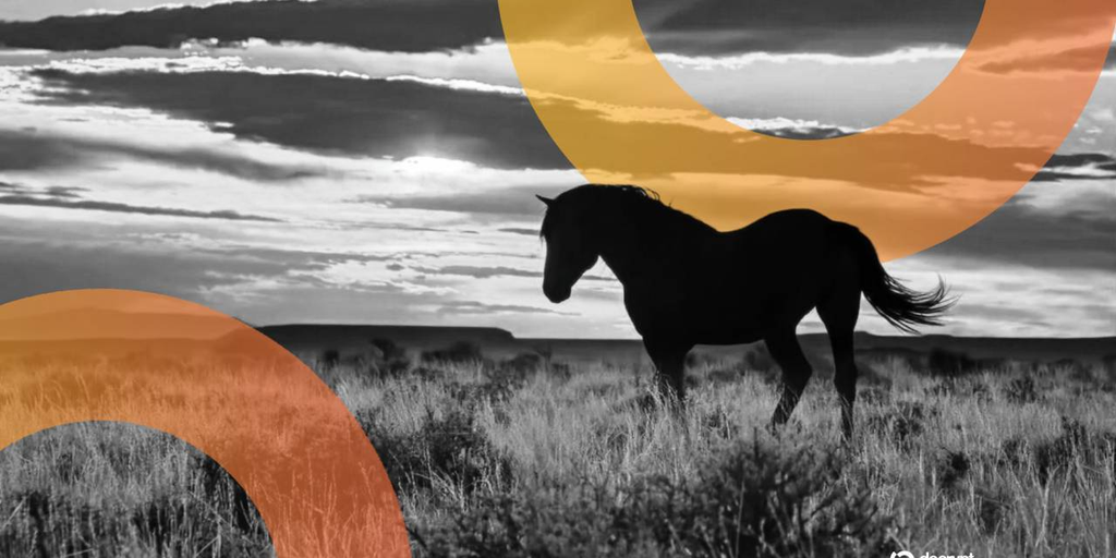 Wyoming's 'Frontier' Stablecoin Debuts—Will It Offer Yield?