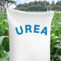Urea price above $610 on March 25? thumbnail