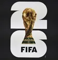 FIFA World Cup Group D Winner thumbnail