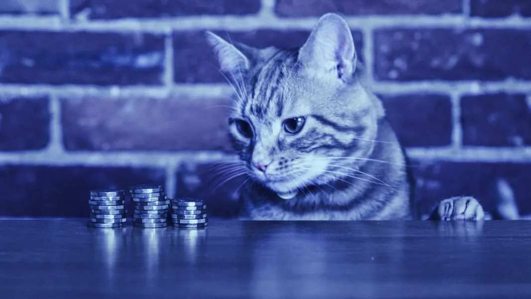 The SEC is eyeing the money in the crypto market like a hawk, or well, a cat–they're cuter. Photo Credit: Shutterstock