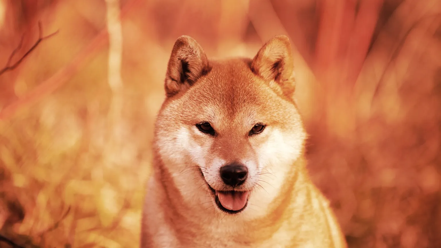 Dogecoin may have started as a joke, but its addition to the Coinbase Wallet may help it to take off. Will Binance and Huobi be next?