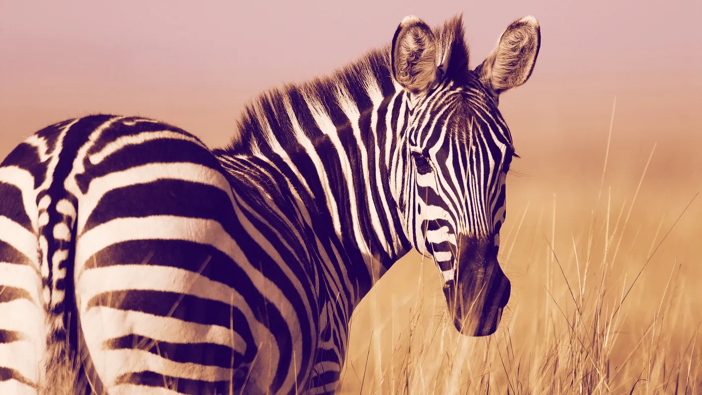 Parity builds Zebra to make it easy for developers to build on Zcash
