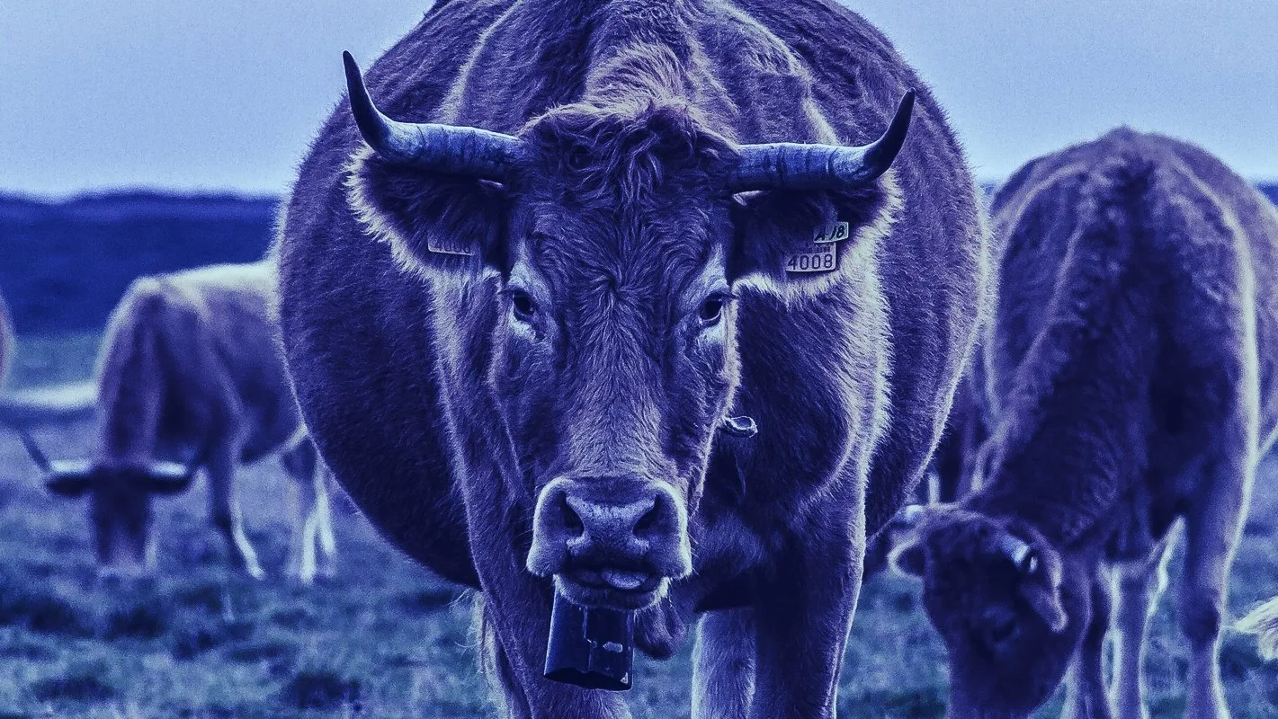 Bison Trails CEO: Why it dropped $10 million on Facebook's Libra Coin