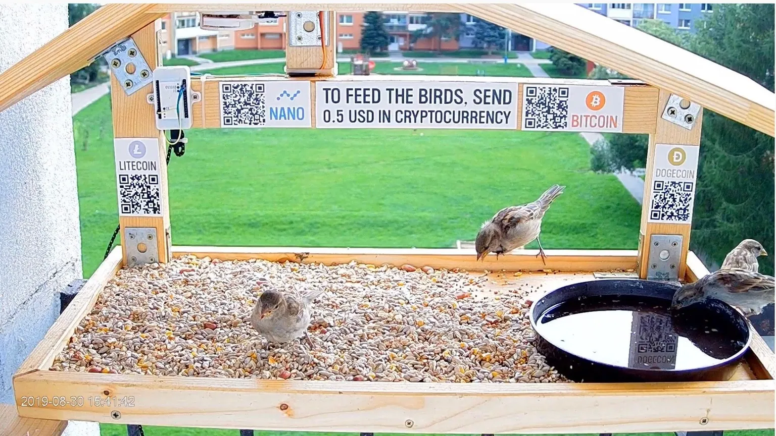 Bitcoin bird-feeder