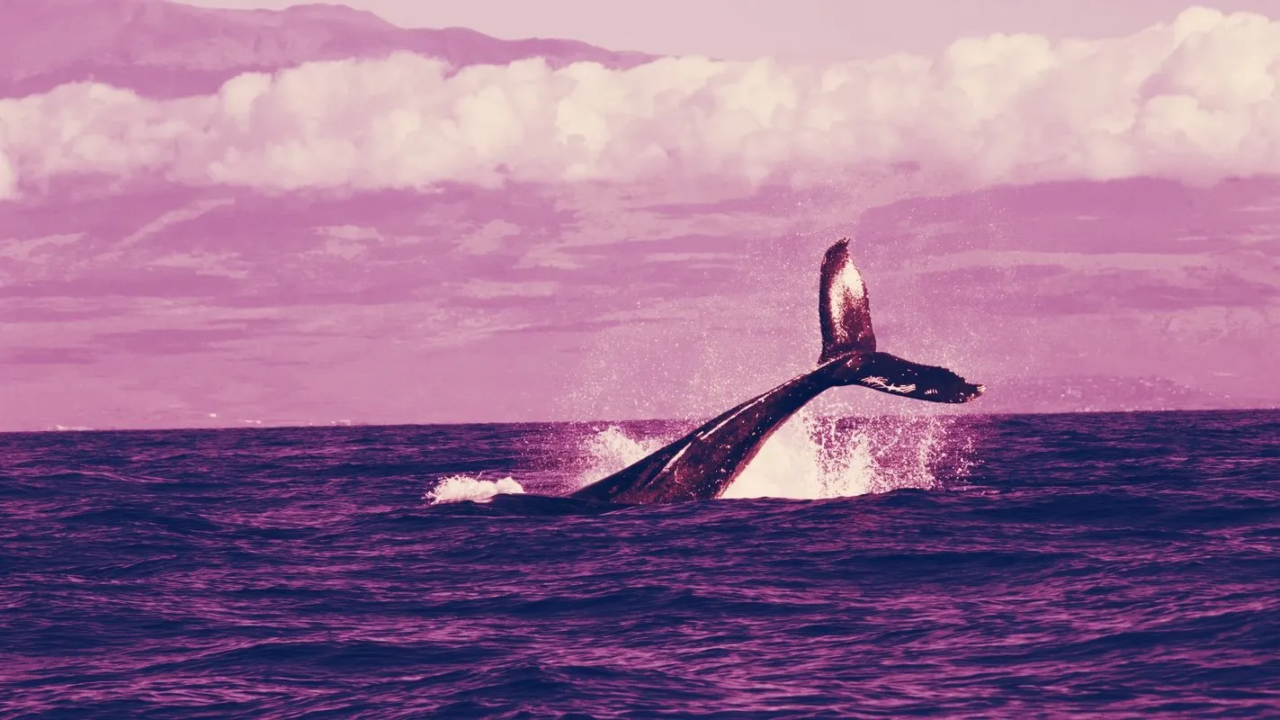 photo credit: unsplash