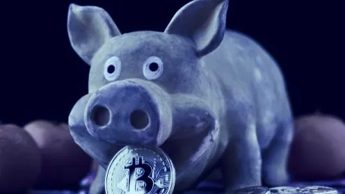 We learned five important things about crypto in China during the Year of the Pig.