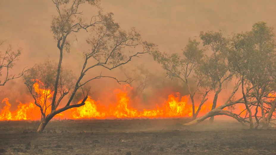 Binance hopes to alleviate the pain caused by the Australian bushfires. Image: Shutterstock.