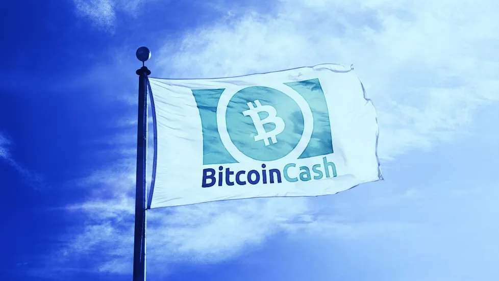 Bitcoin Cash (Image: Shutterstock)