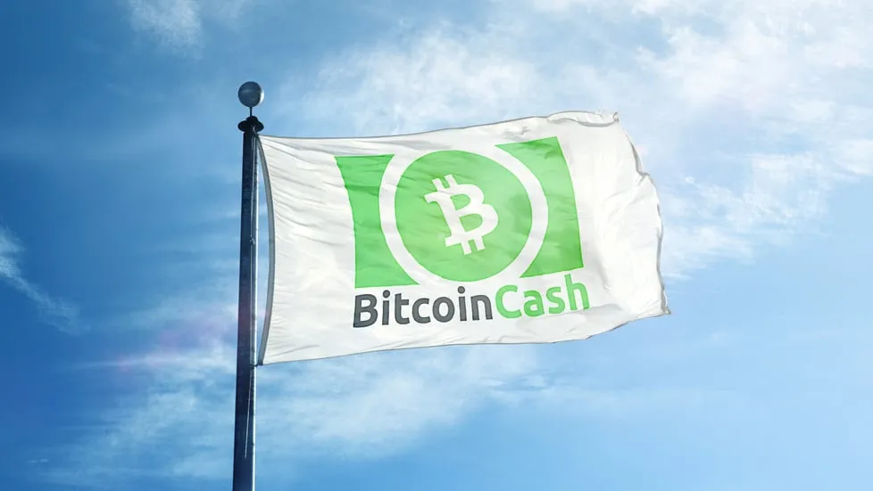 Bitcoin Cash (Image: Shutterstock)
