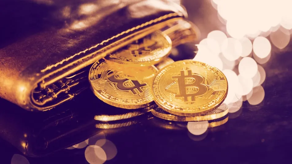 A representation of a Bitcoin wallet. Image: Shutterstock.
