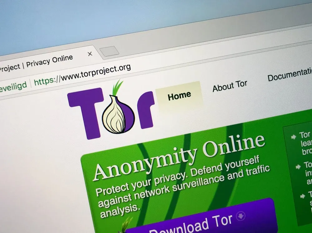 The Tor network shown online