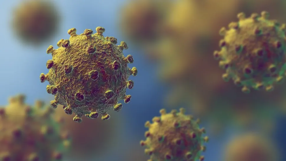 a visual representation of the coronavirus