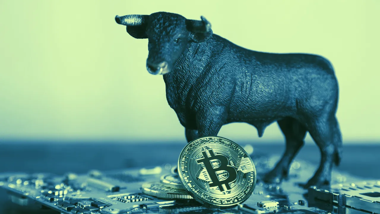 Bitcoin has been on a historic bull run. Image: Shutterstock