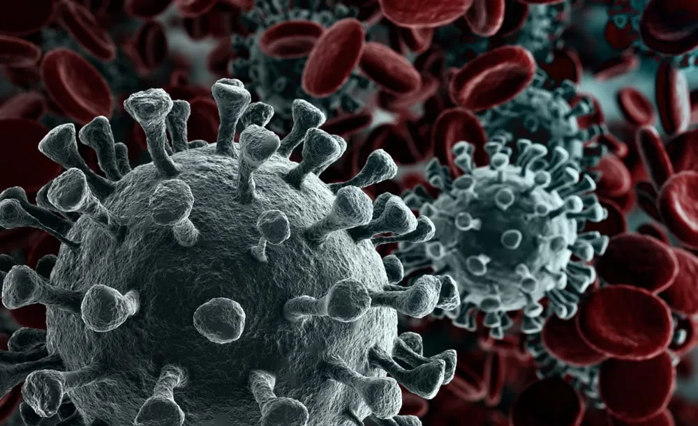 Los investigadores están combinando sus esfuerzos para encontrar una vacuna covid-19. Imagen: Shutterstock.