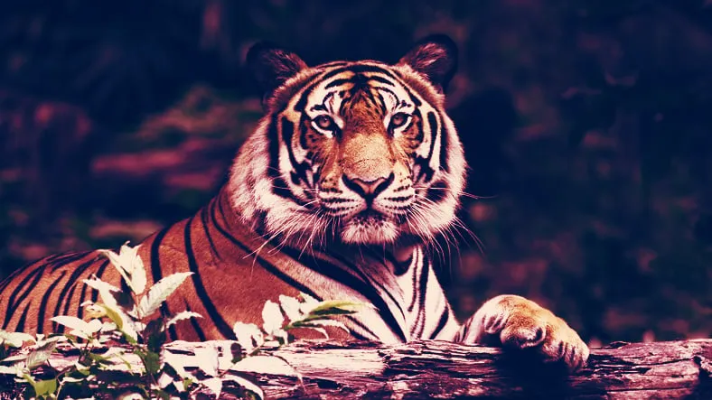 Exotic animals. Image: Shutterstock.