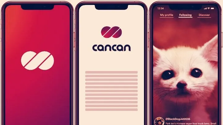 CanCan was built using less than 1,000 lines of programming code. Image: Dfinity