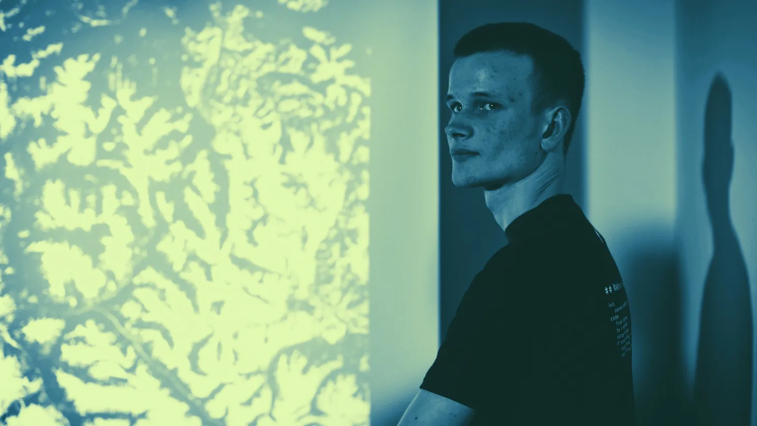 Vitalik Buterin was just 19  when he wrote the Ethereum white paper. Image: Flickr