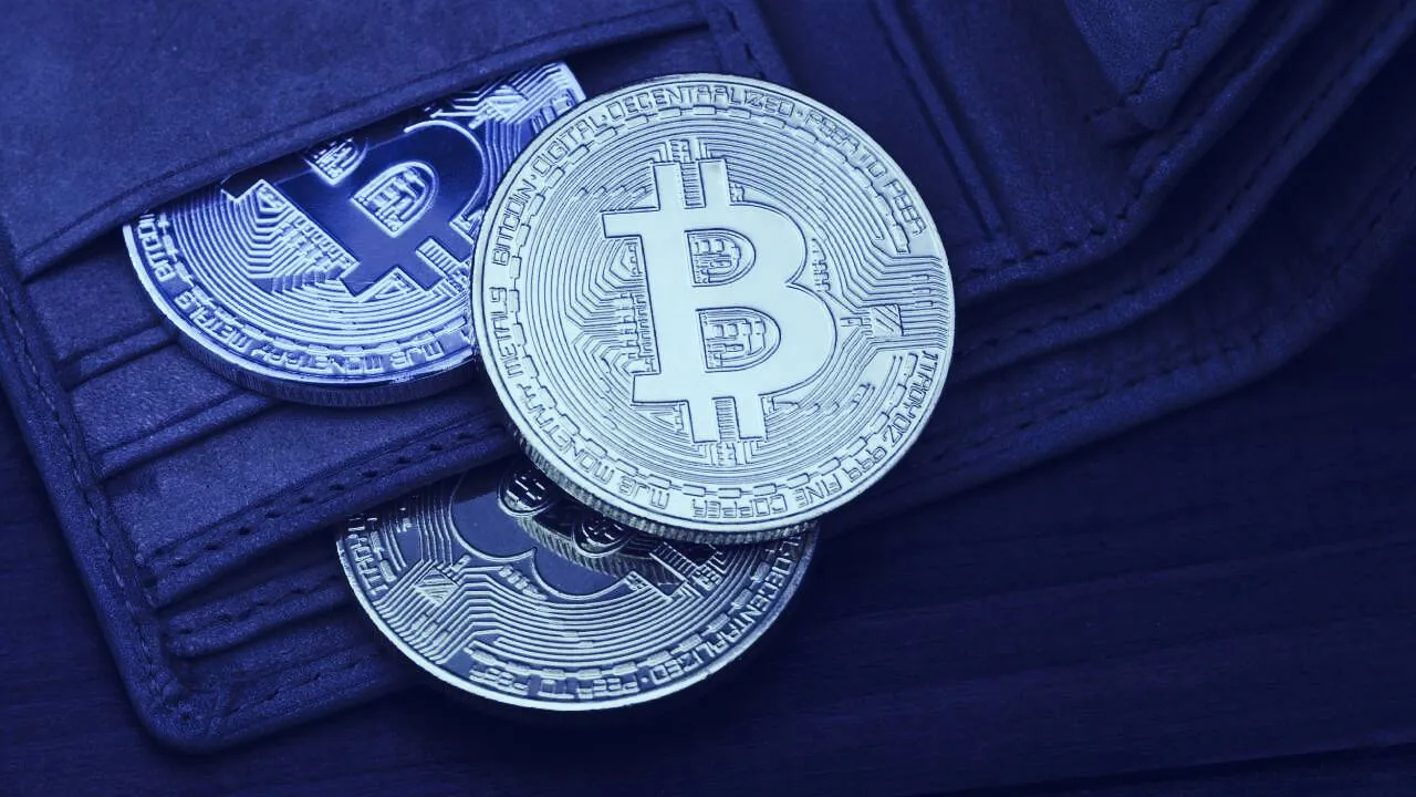 Los bitcoins se almacenan generalmente en una cartera (Imagen: Shutterstock)