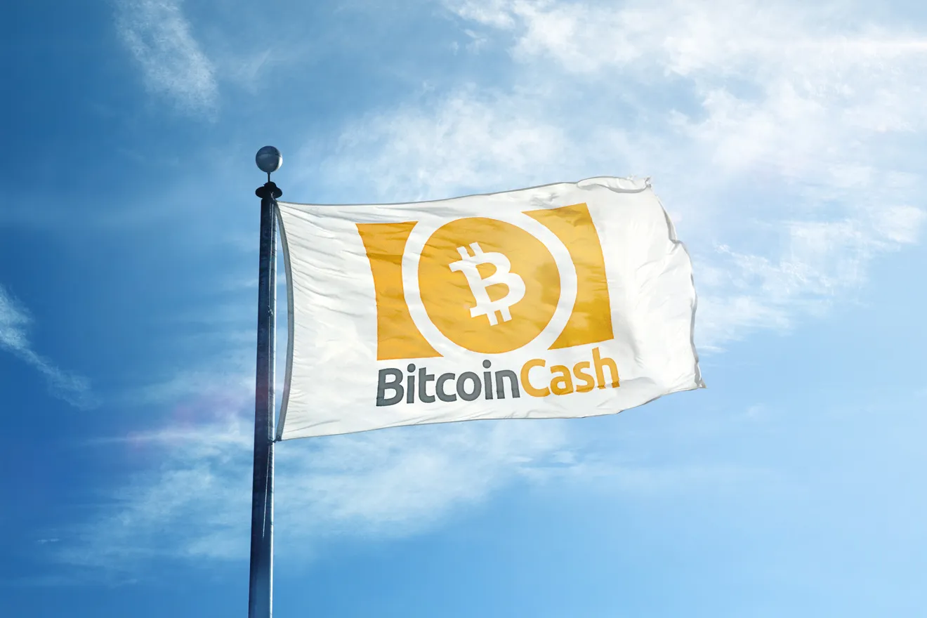 Bitcoin Cash podría sufrir otra ruptura pronto. Imagen: Shutterstock