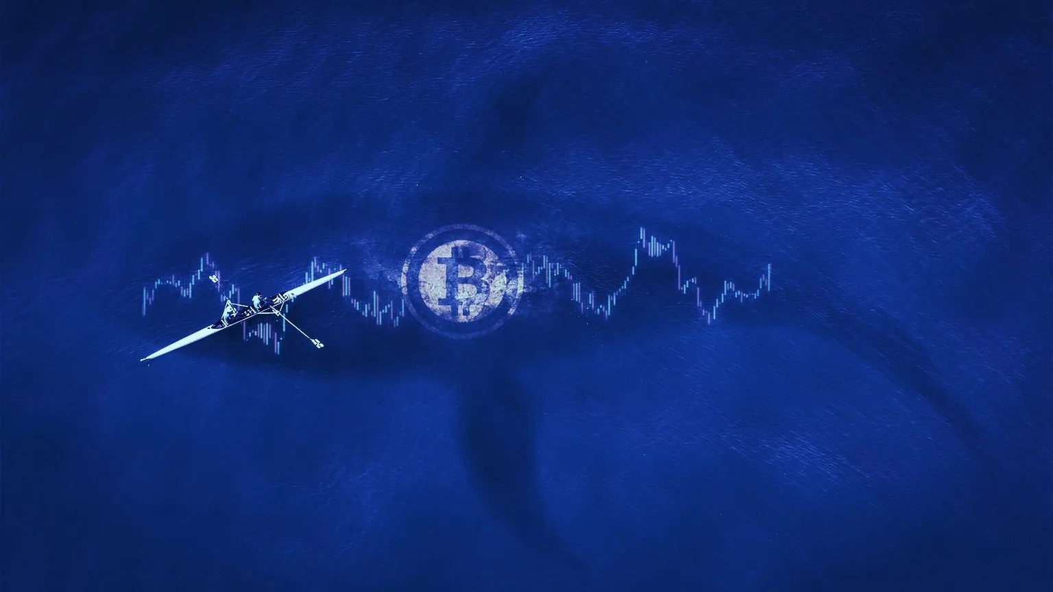 Ballenas de Bitcoin. IMAGEN: Shutterstock