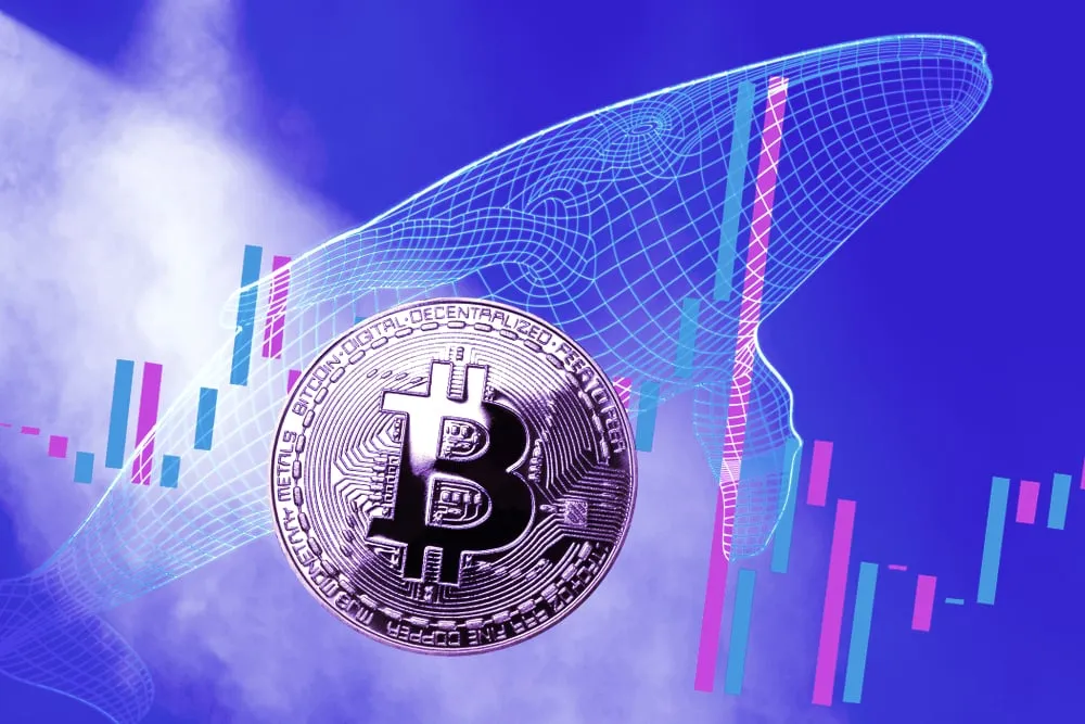 A Kraken report says the number of Bitcoin whales is increasing. Image: Shutterstock