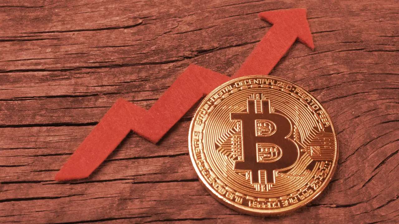 Bitcoin investments are on the way up. Image: Shutterstock