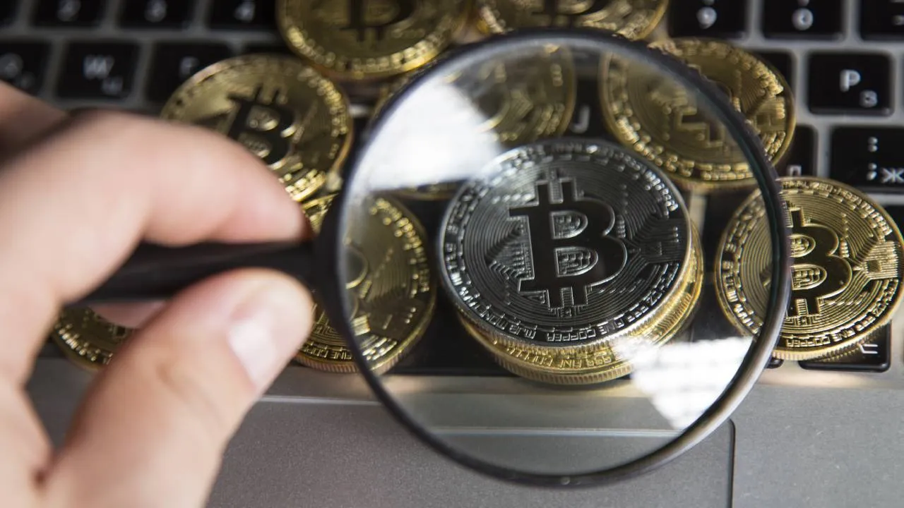 Bitcoin sigue reinando entre los poseedores de criptomonedas