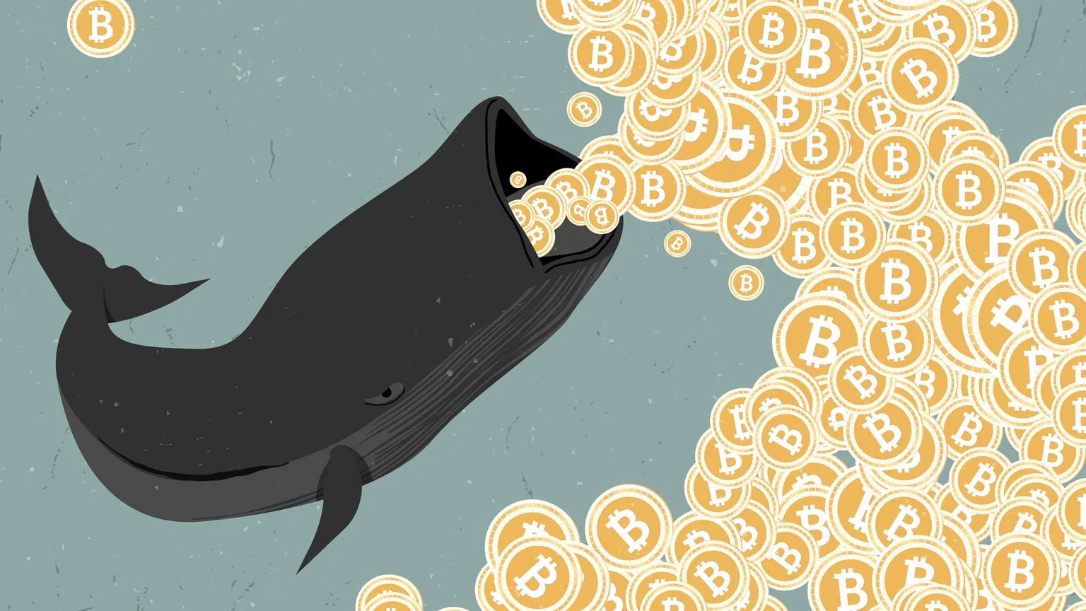 Ballenas de Bitcoin. Imagen: ShutterStock