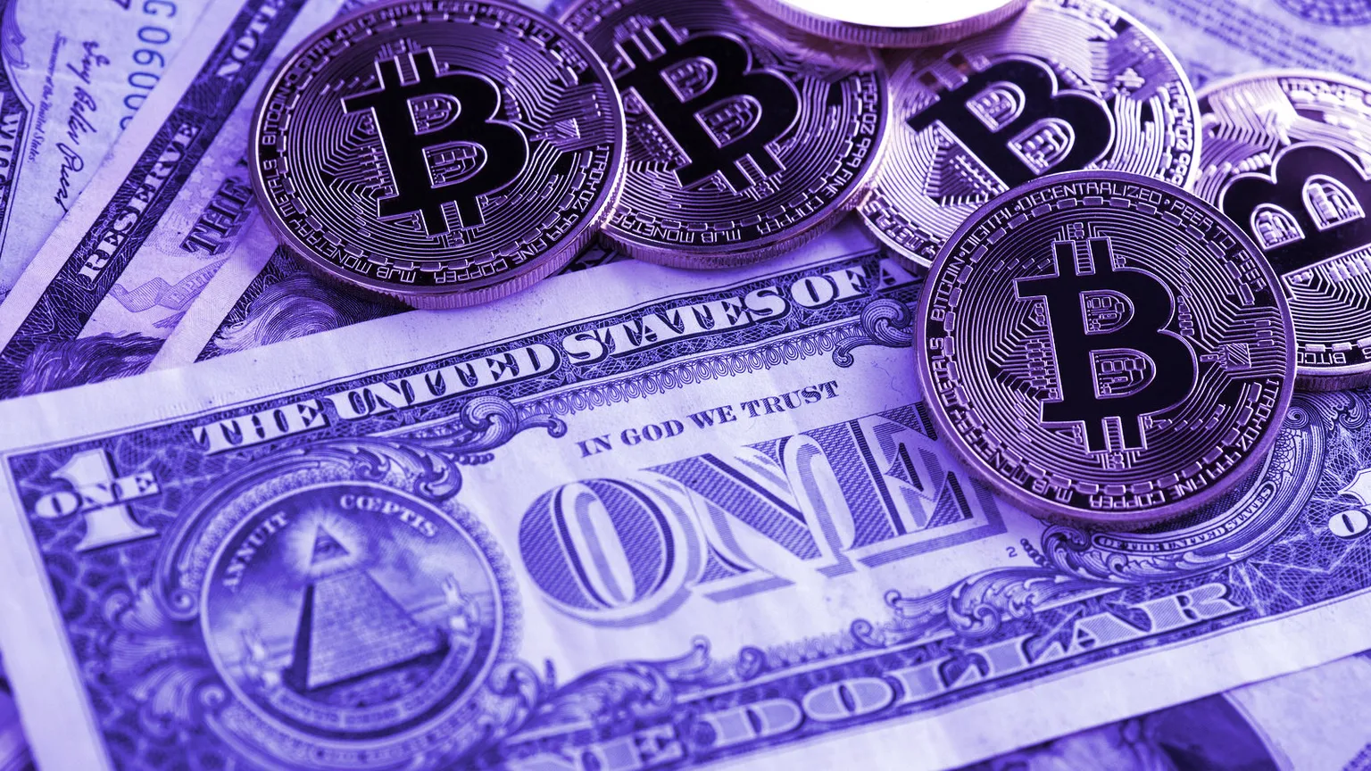 Bitcoin and dollars. Image: Shutterstock