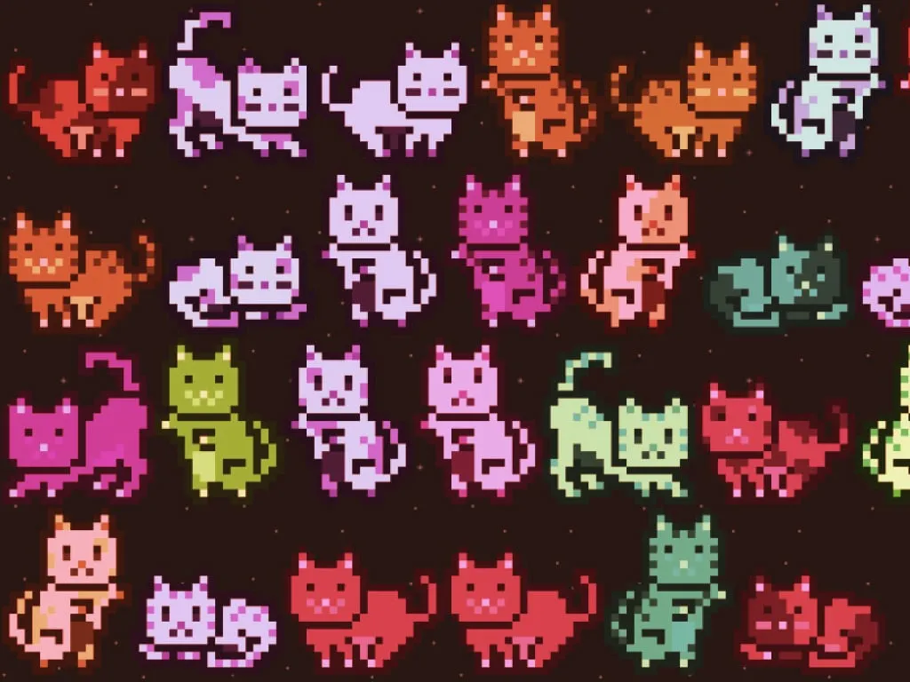 A collection of Foobar's rescued MoonCats. Image: courtesy of Foobar