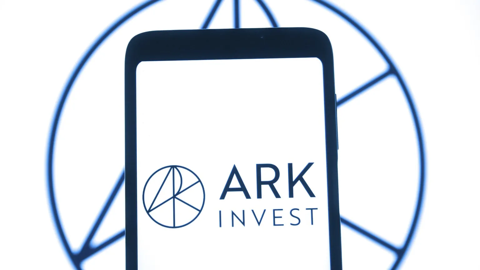 Ark Invest defiende el Bitcoin. Imagen: Shutterstock