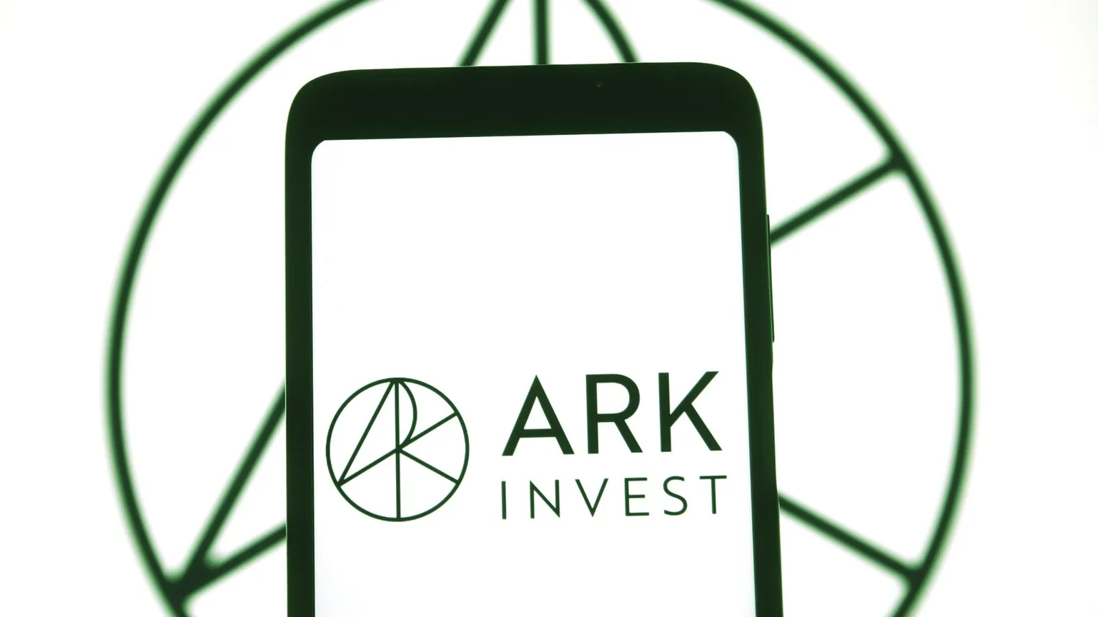 Ark Invest defends Bitconi. Image: Shutterstock
