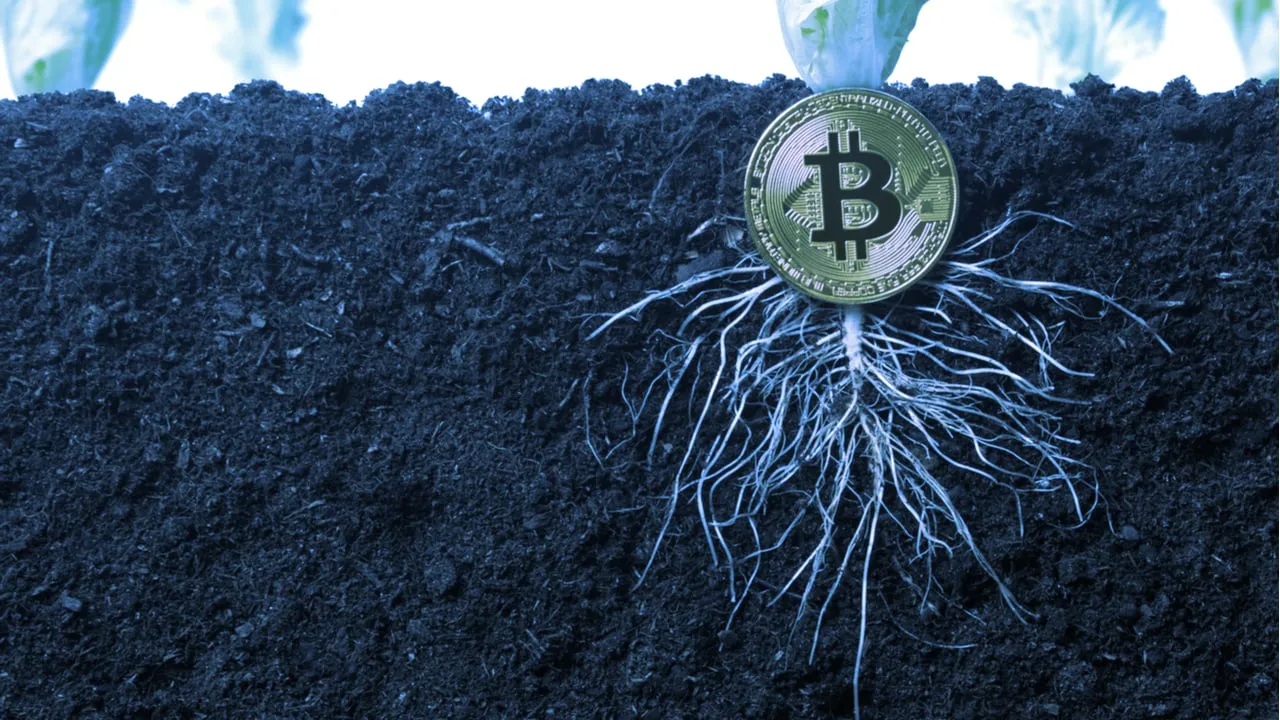 Taproot is an extensive update to Bitcoin. Image: Shutterstock