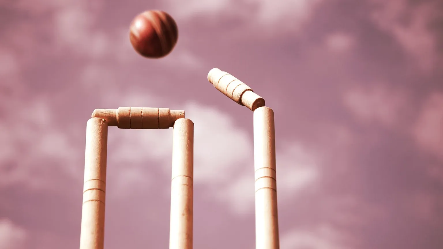 Cricket. Image: Shutterstock