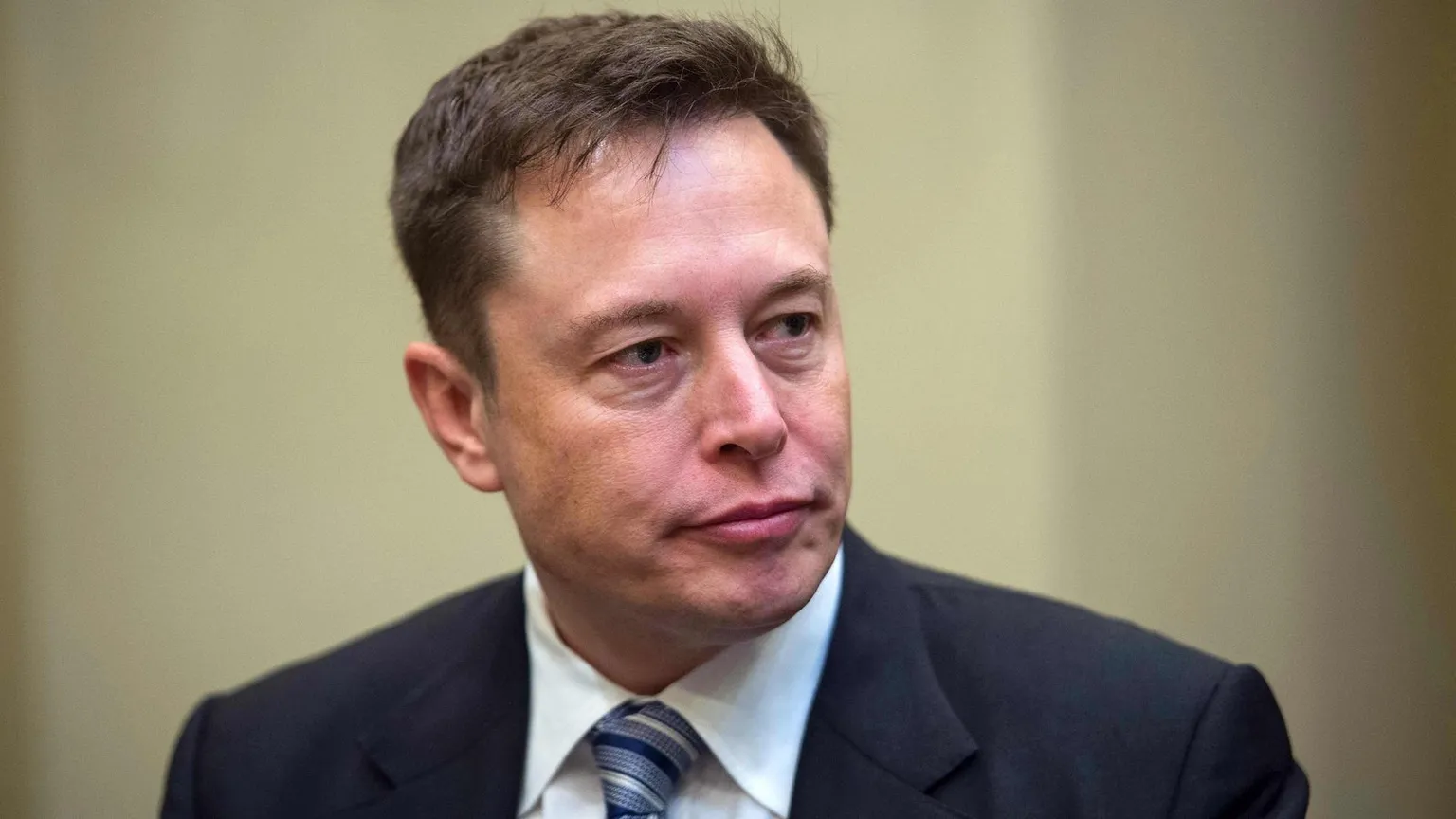 Tesla CEO Elon Musk. Image: Shutterstock