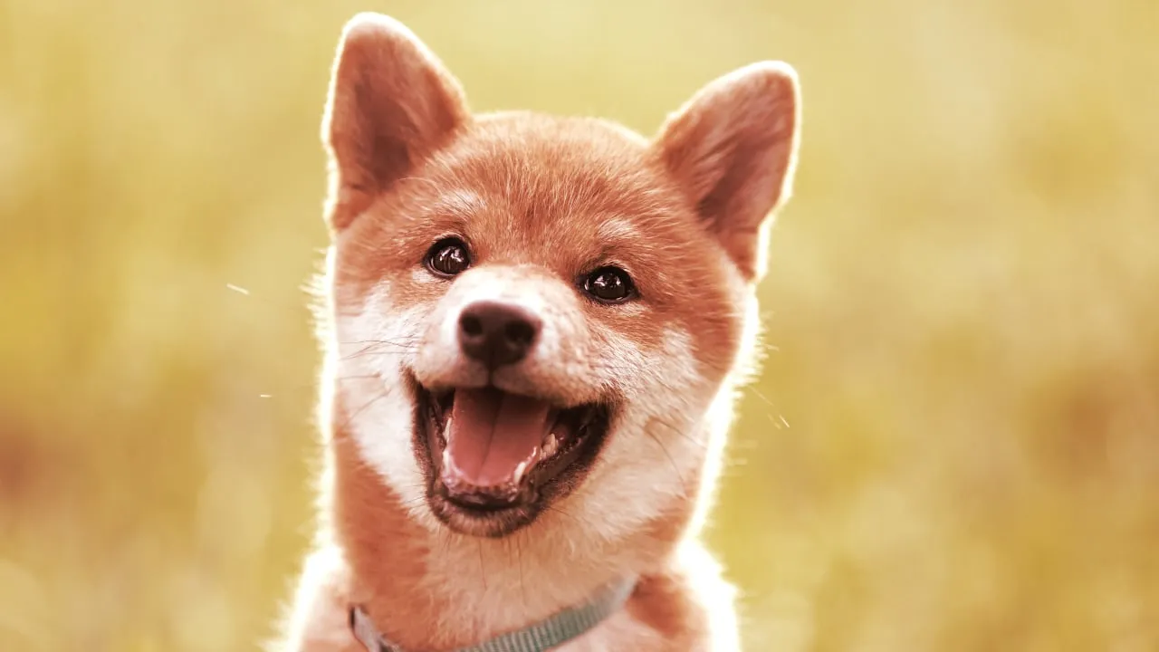 Baby Doge has similarities to Dogecoin. Image: Shutterstock