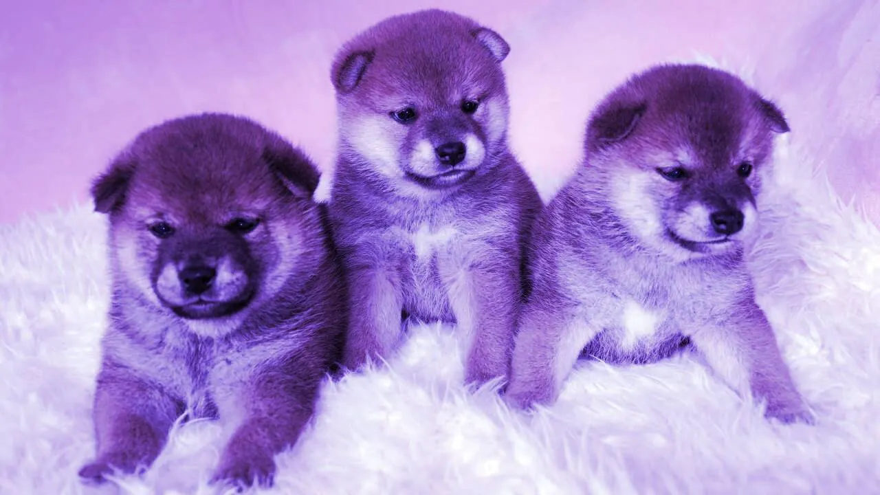 Proliferan las monedas meme como el Baby Doge. Imagen: Shutterstock