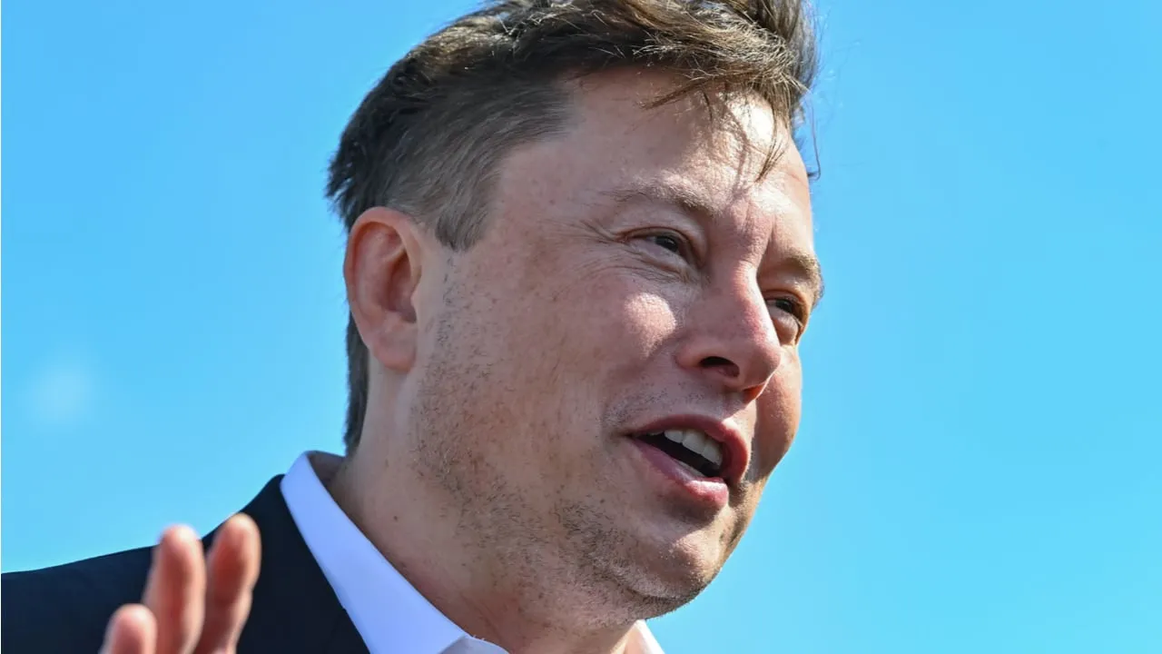 Elon Musk in 2020. Image: Shutterstock