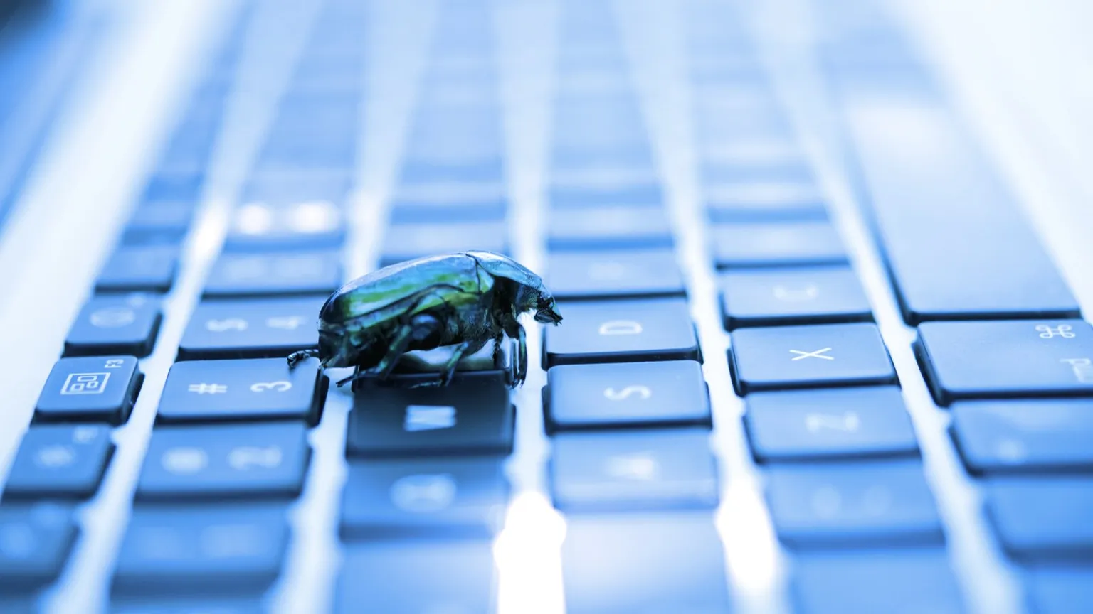 A bug's life. Image: Shutterstock