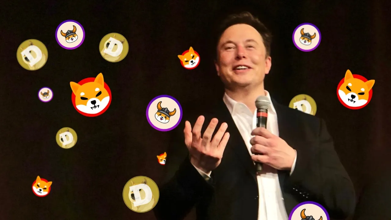Elon Musk has repeatedly pumped dog coins on Twitter. (Image: Steve Jurvetson on Flickr, CC BY 2.0)