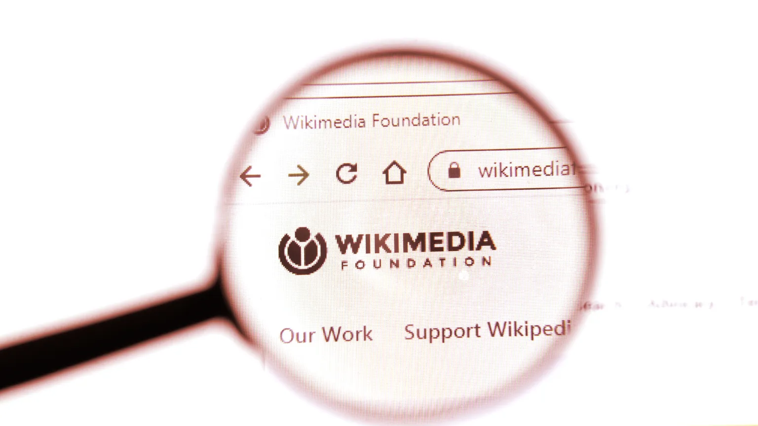 Wikimedia Foundation is the nonprofit organization that funds Wikipedia. Image: Shutterstock