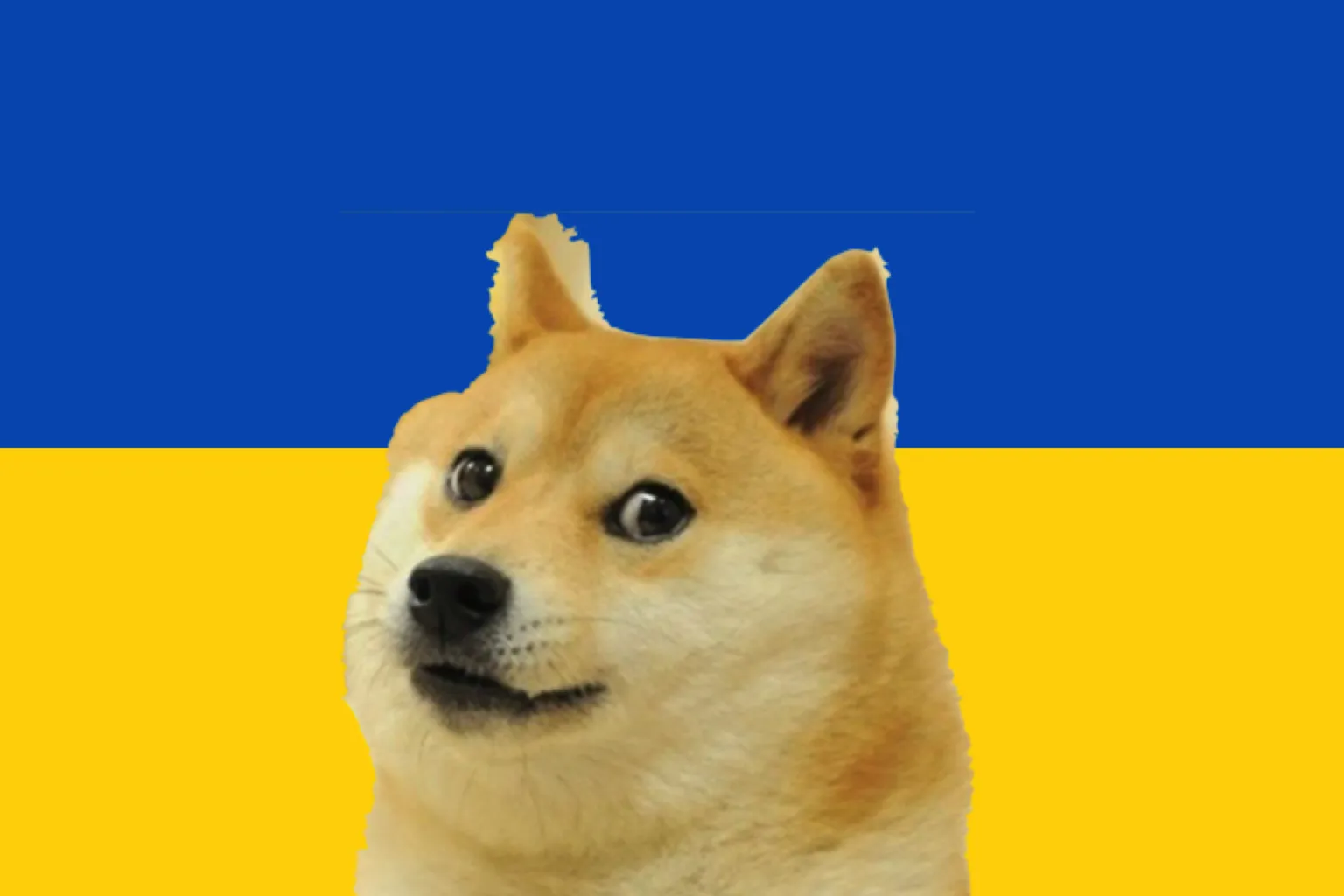 Dogecoin in Ukraine. Image: Shutterstock