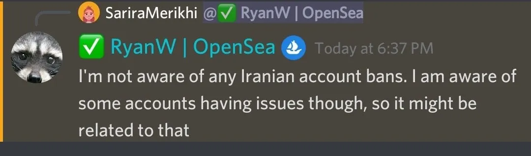 Screenshot from the OpenSea discord server.